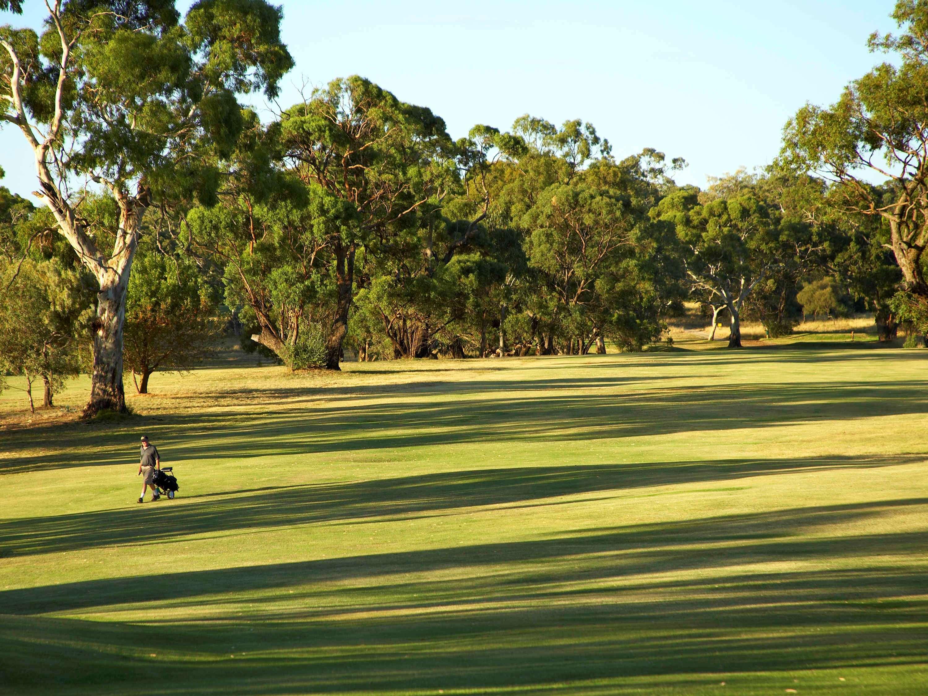 Novotel Barossa Valley Resort Rowland Flat Zewnętrze zdjęcie